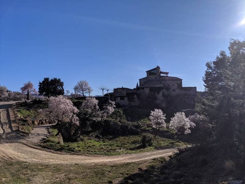 Mas de la Serra 14