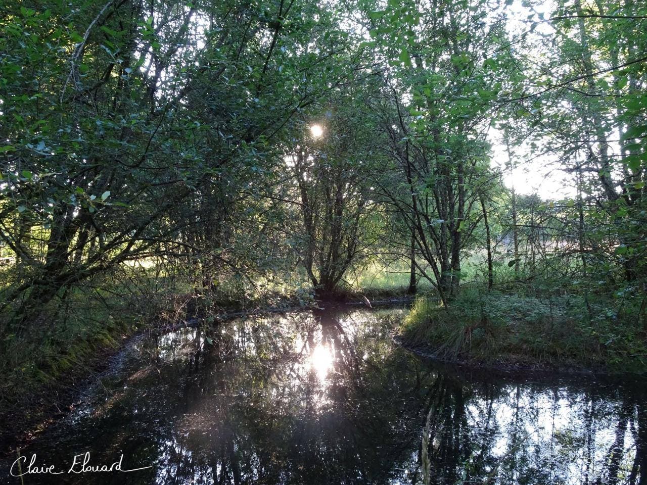 Le Relais des Landes 22