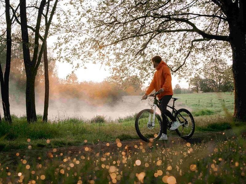 Étape en Forêt 54