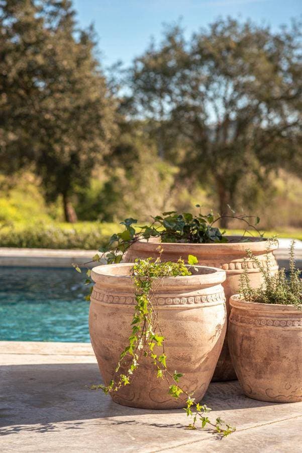 L'and Vineyards 58