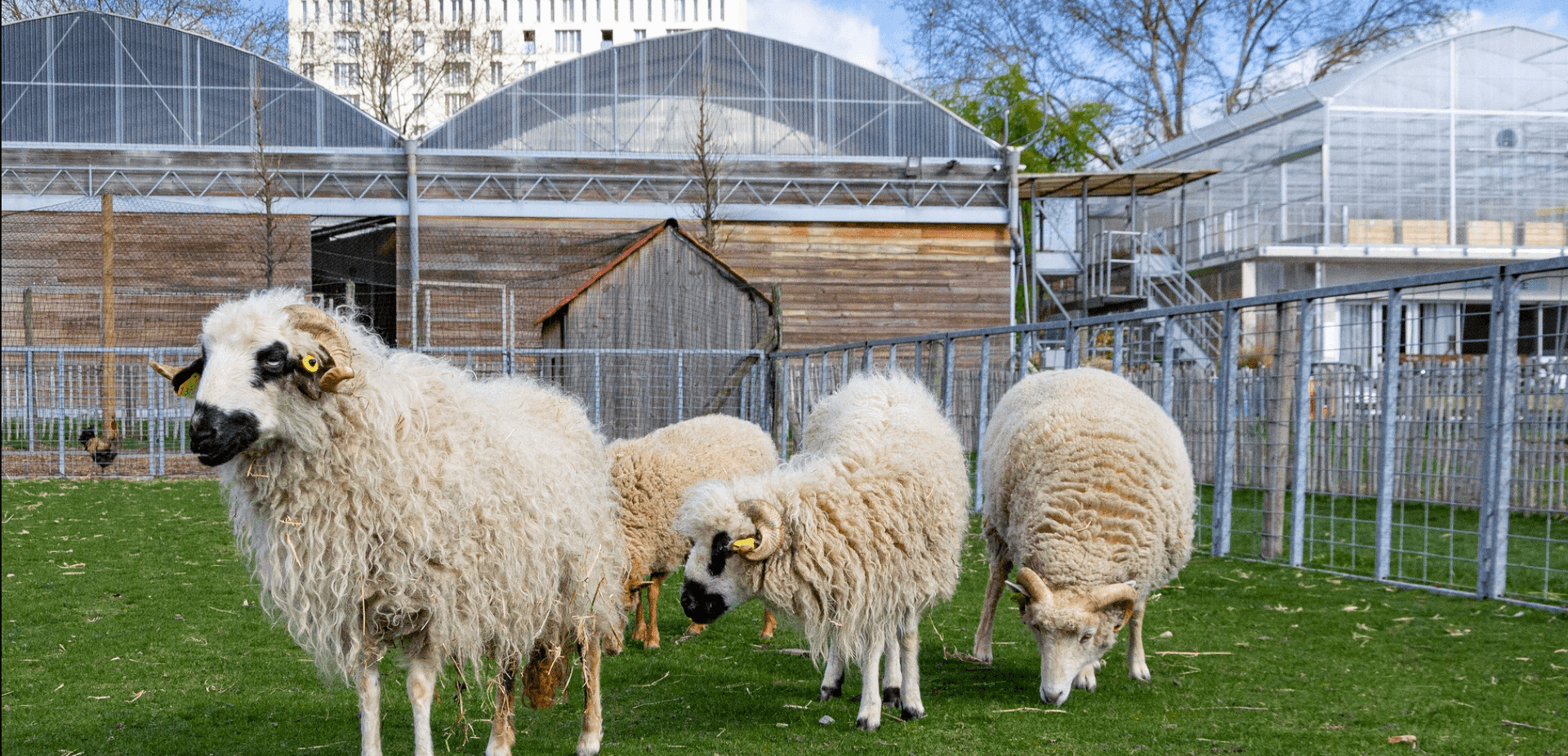 La Ferme de Gally - Saint Denis 19
