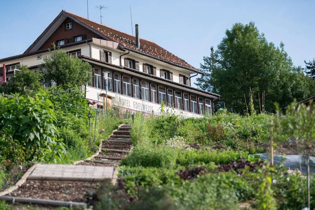 Kräuterhotel Edelweiss 2