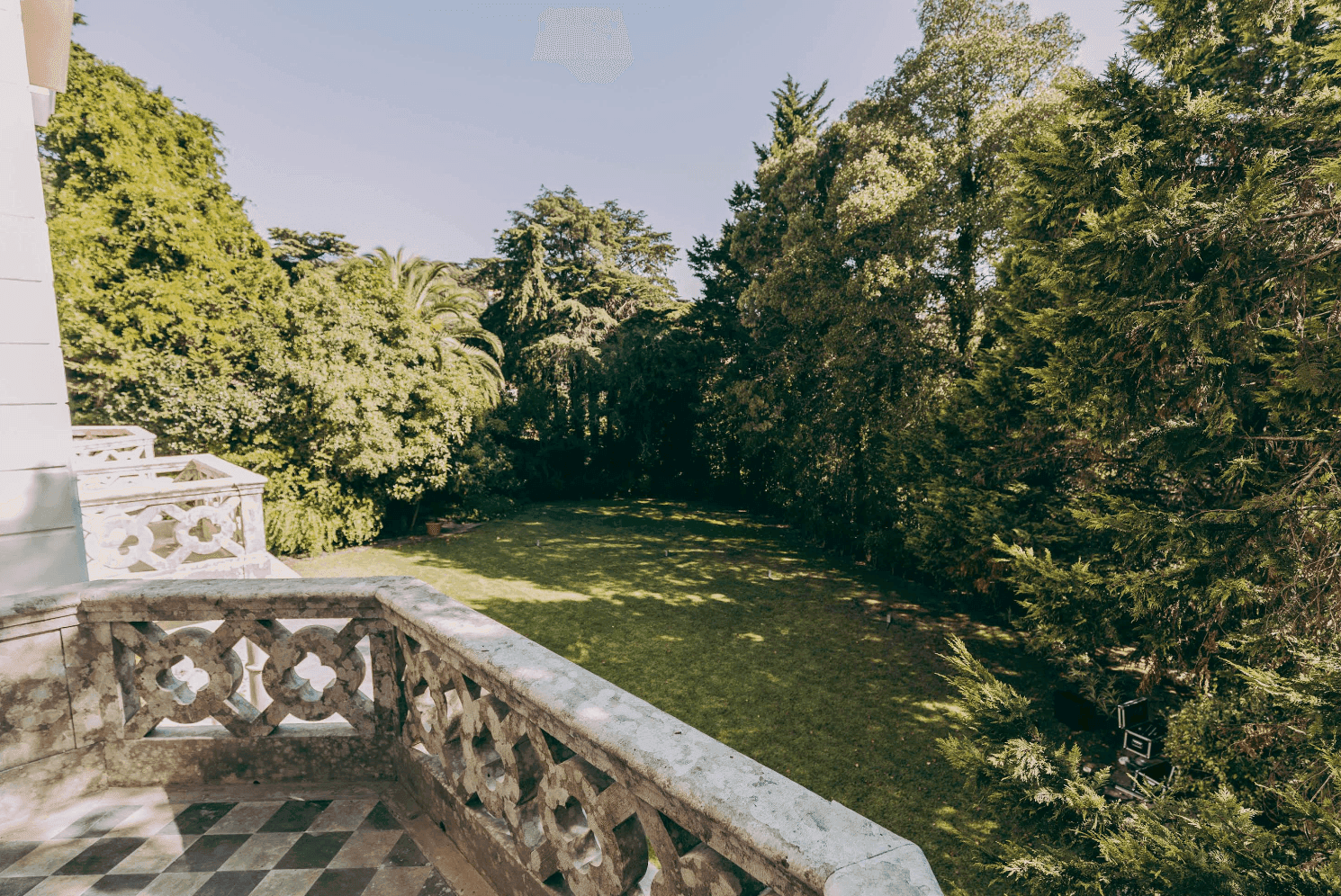 Camélia Gardens 6