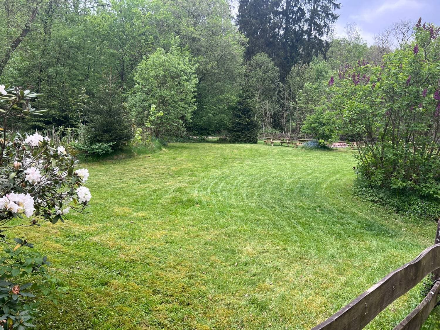 Ferienhäuser im Südharz 10