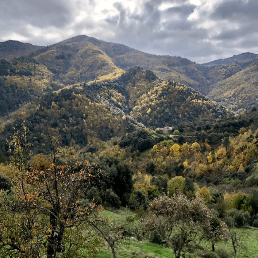 Le Domaine Le Verdier 41
