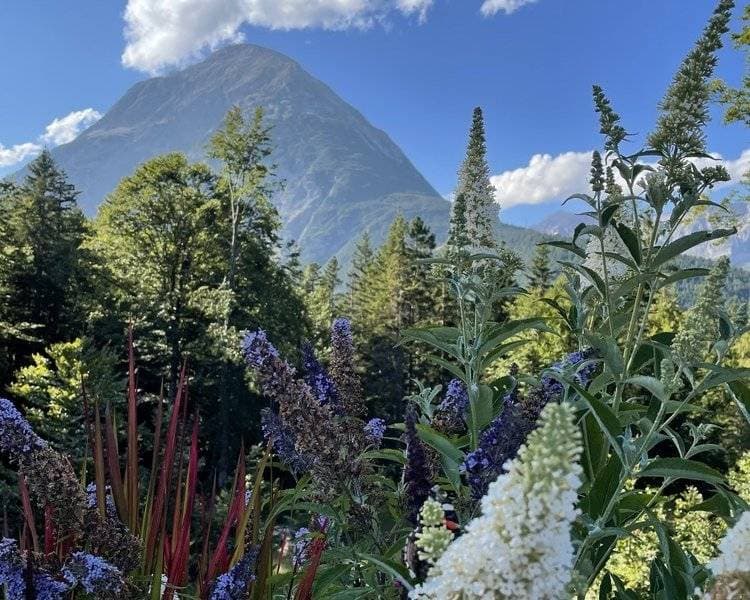 Interalpen-Hotel Tyrol 115