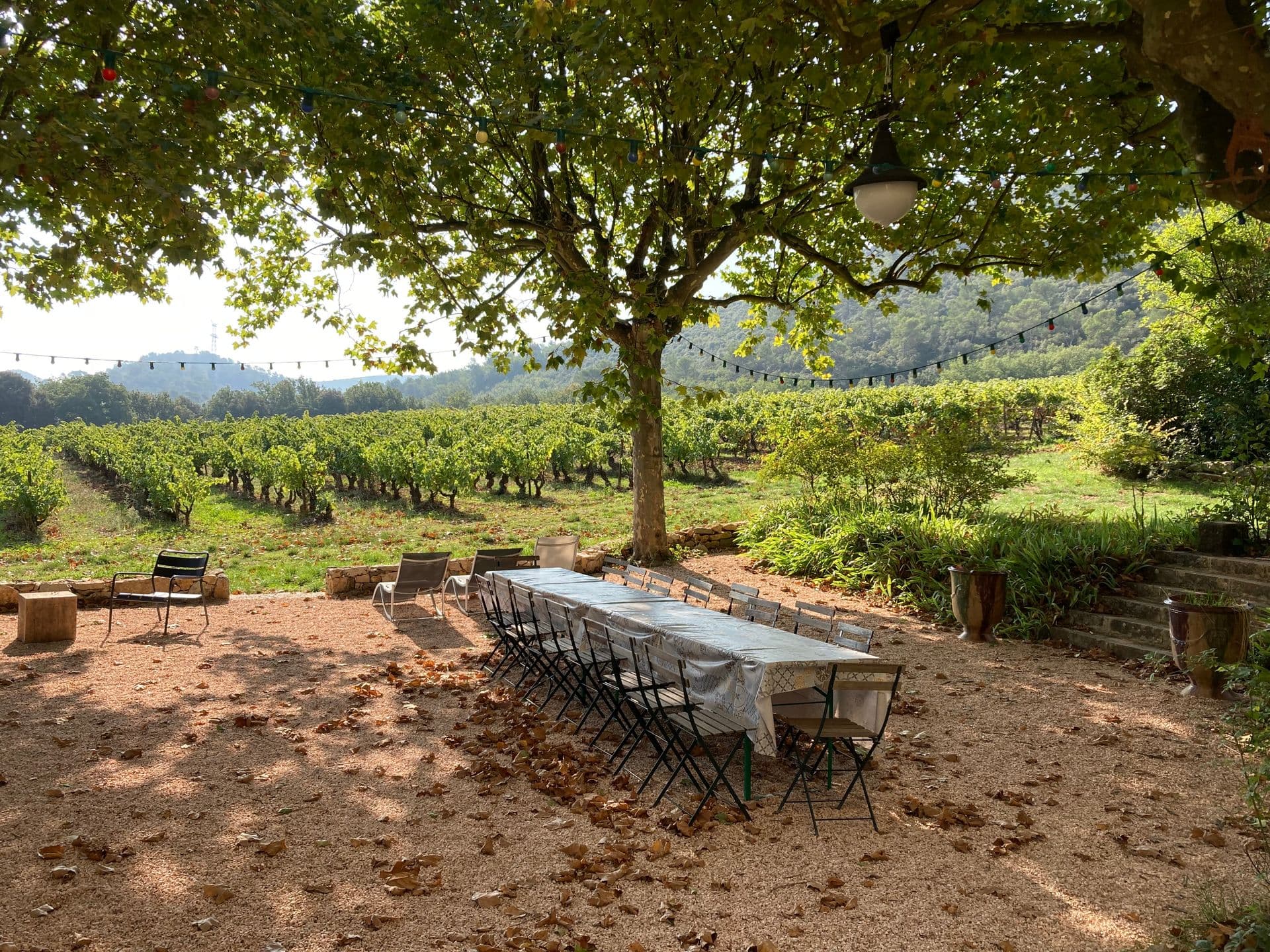 Le Domaine du Château Trians 14