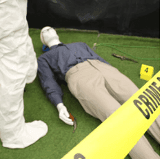 CSI: Elige tu destino