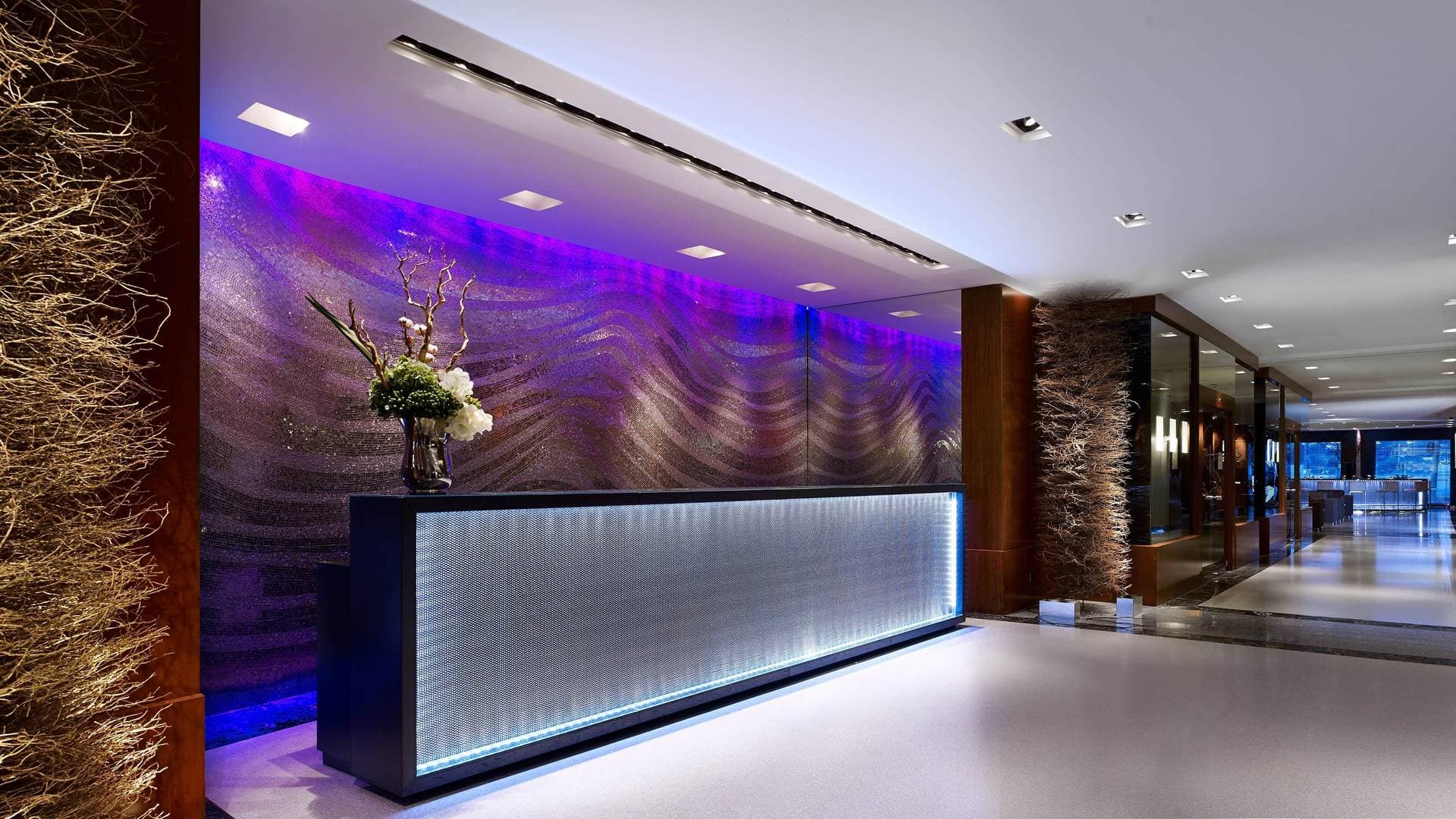 Hôtel President Wilson, a Luxury Collection Hotel 17