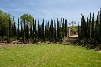 Domaine du Mas de Pierre 3