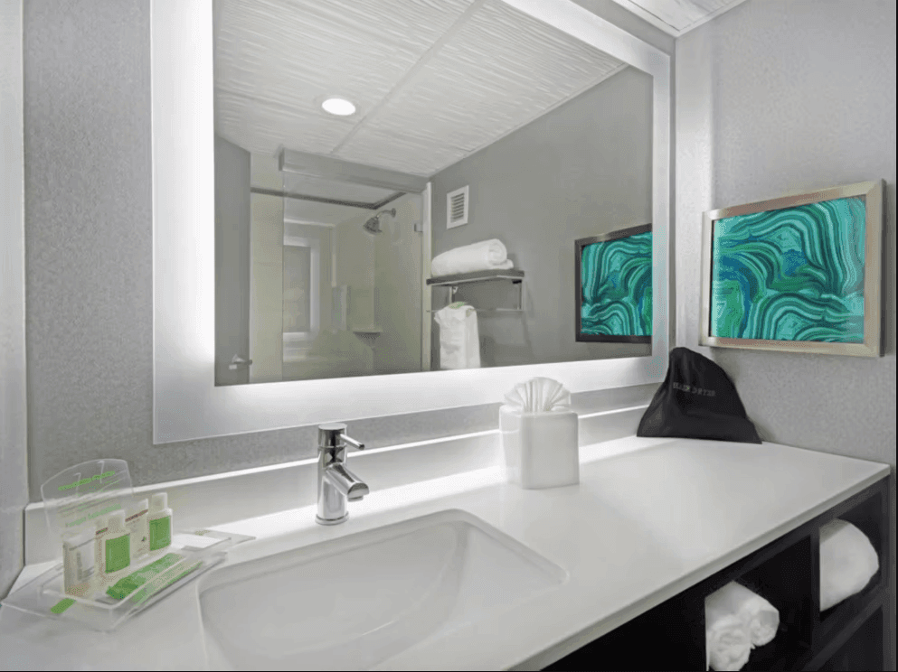 Holiday Inn - Downtown Memphis 15