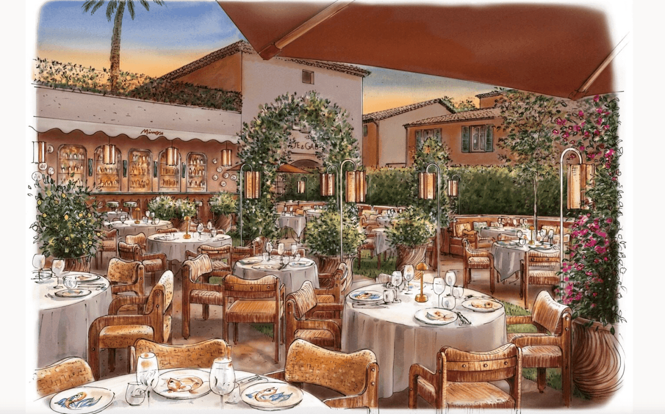 Mimosa - Saint Tropez  1