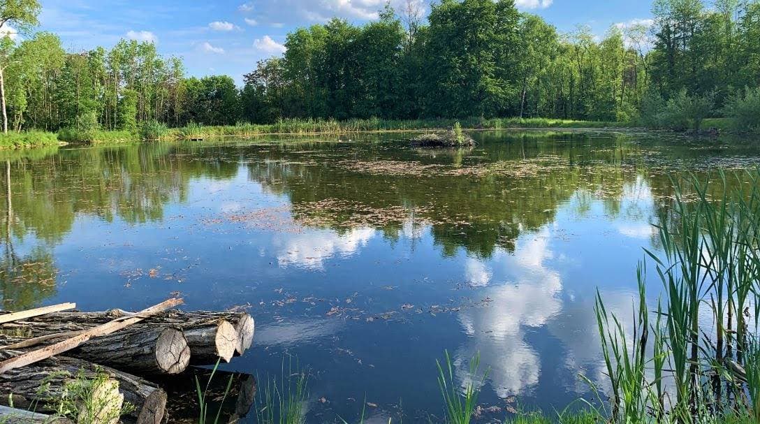 Le Domaine de Montigny 41