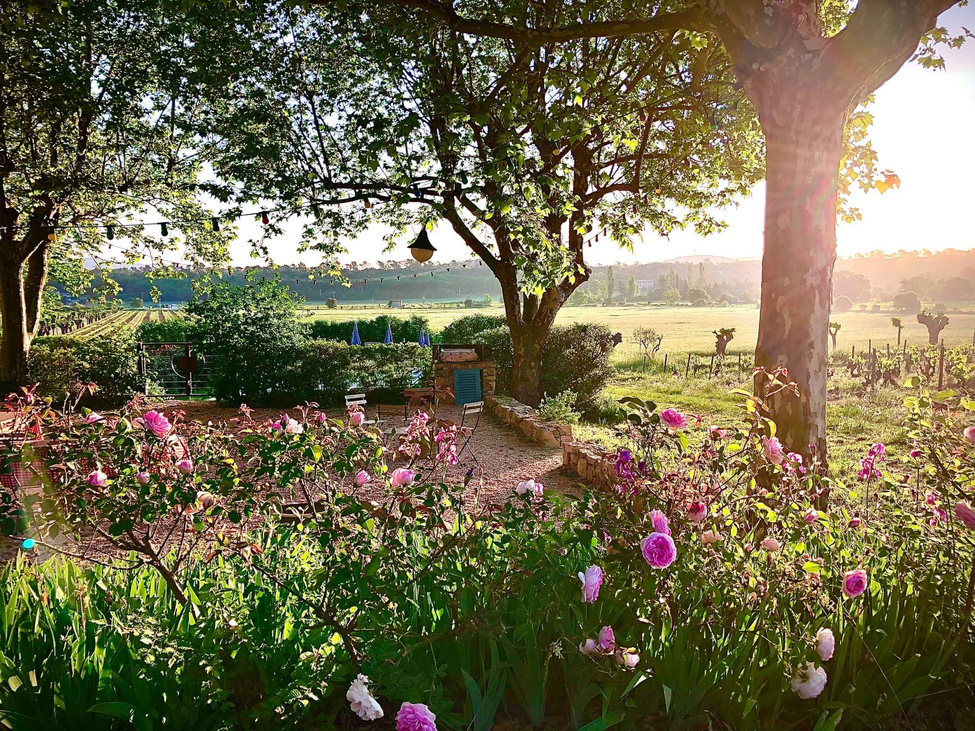 Le Domaine du Château Trians 31