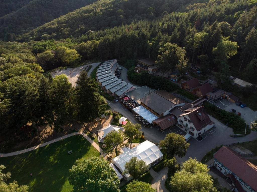 Le Domaine du Hirtz 6