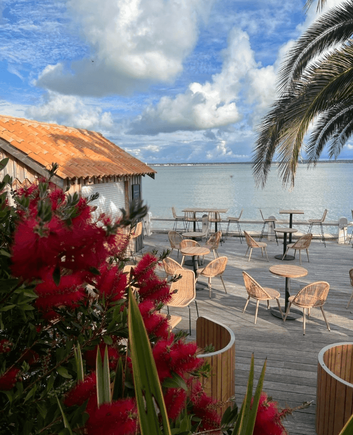 Hôtel Albatros Oléron  10