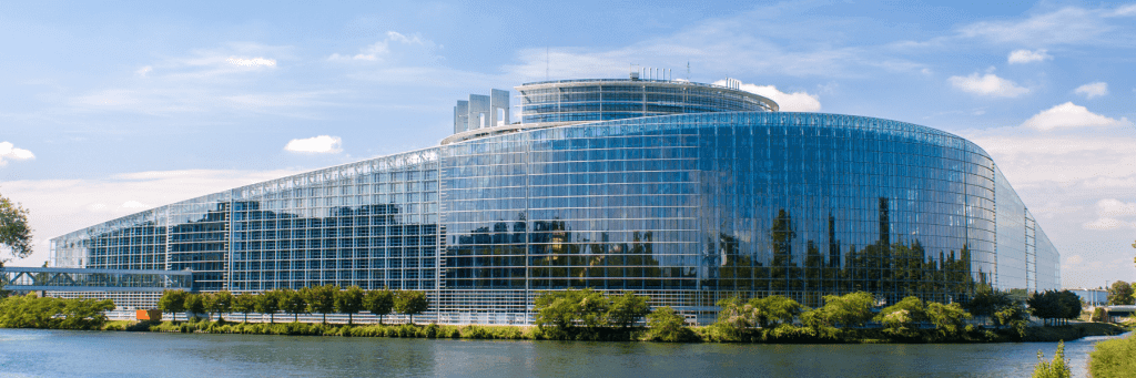 Discover Strasbourg 25