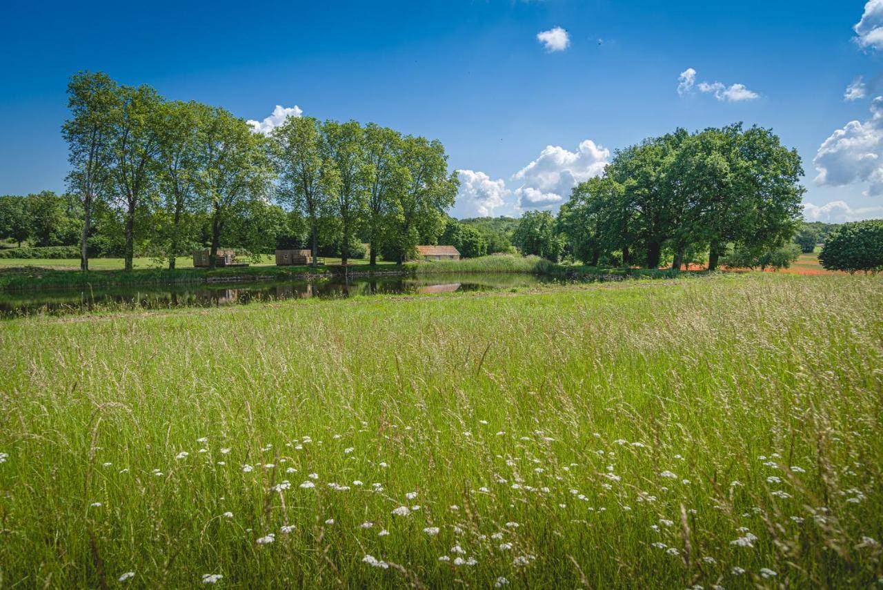 Le Domaine de Roiffé 17