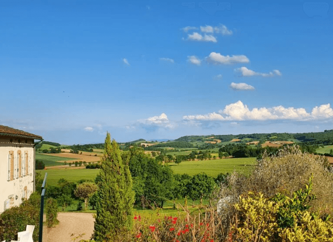 Le Domaine d'en Naudet 19