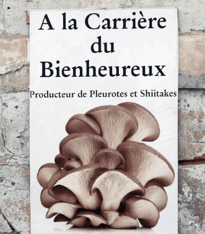 Visite champignoniére