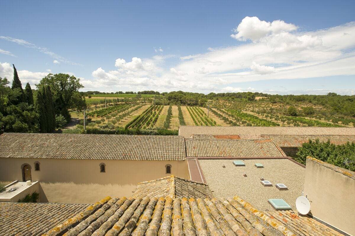 Le Domaine de Saint Martin La Garrigue 39