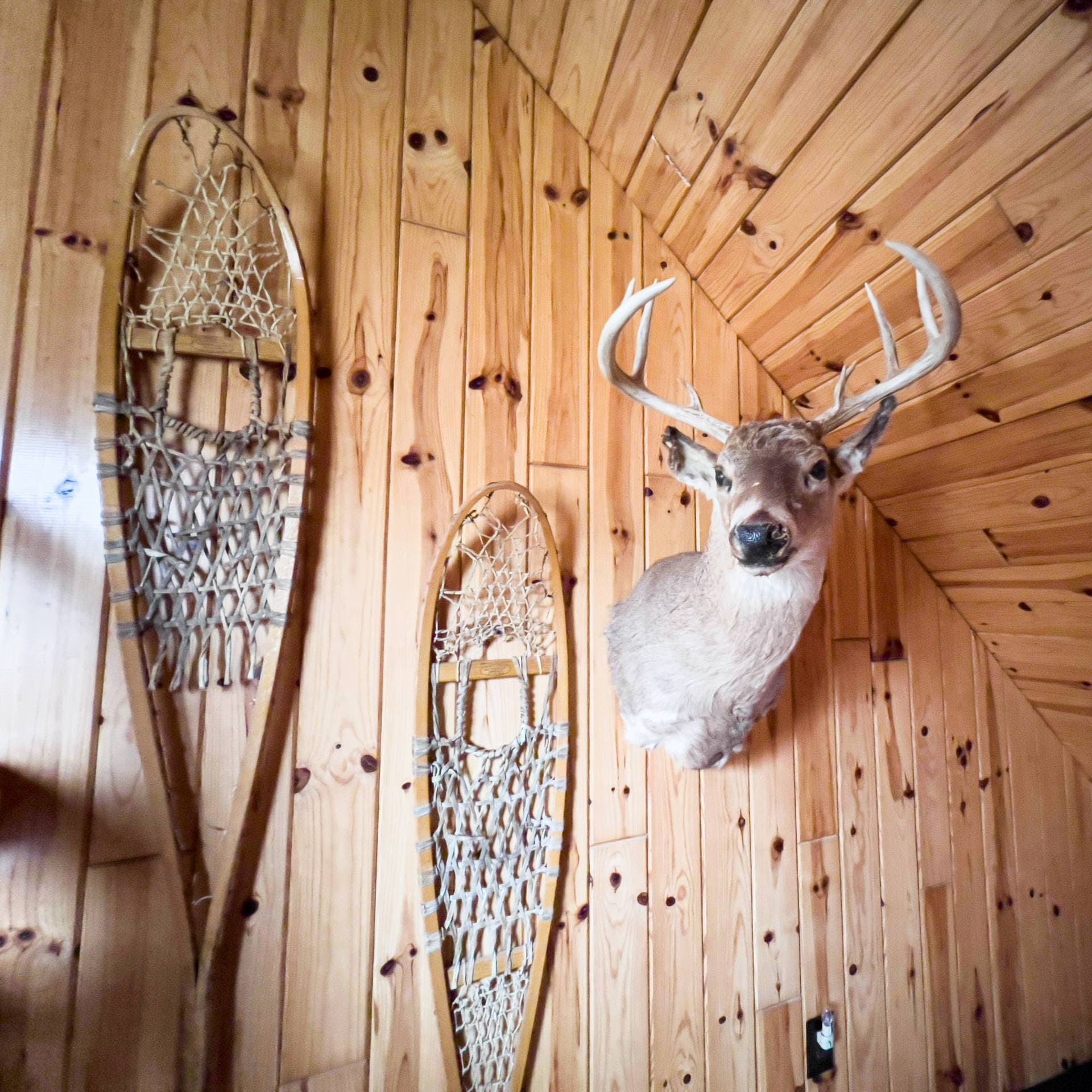 Sleeping Bear Resort 6