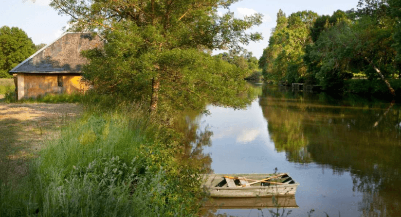Le Domaine de la Tortinière 22