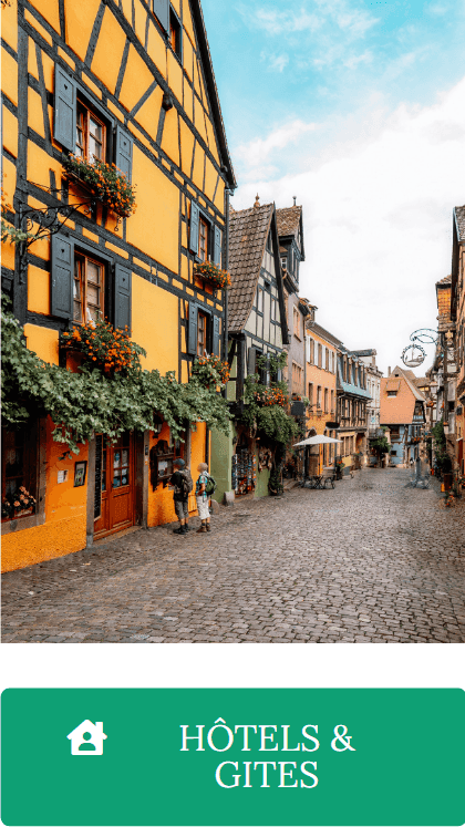 Discover Strasbourg 11