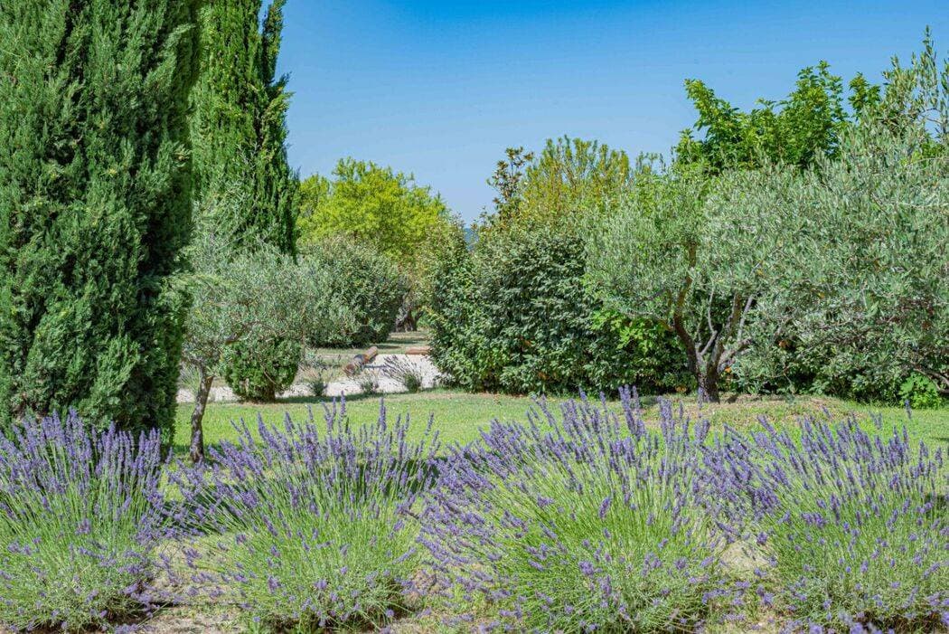 Le Mas de Florette 24