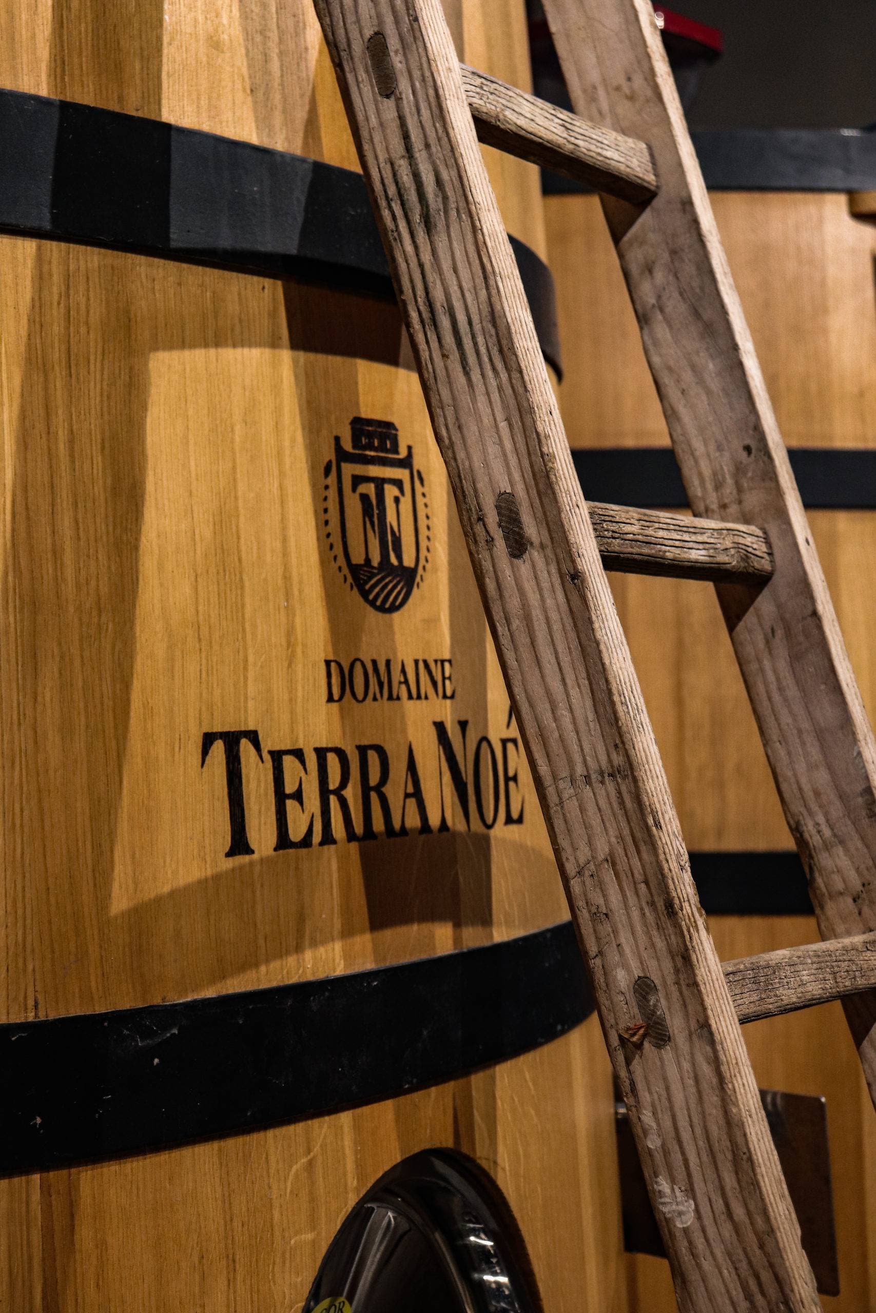 Domaine Terra Noé 9