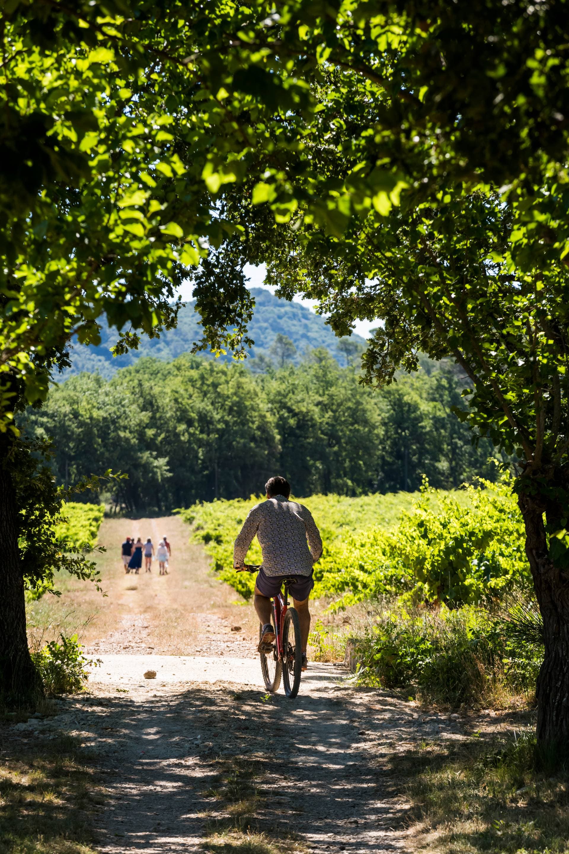 Le Domaine du Château Trians 32