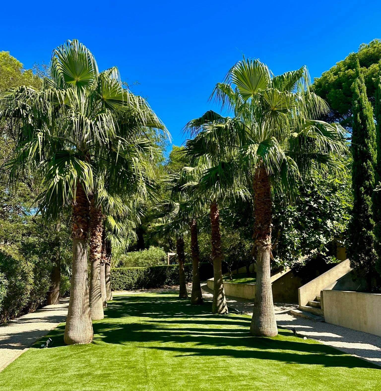 Domaine de Canaille 8