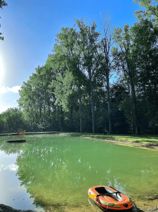 Le domaine de la Palombière 21