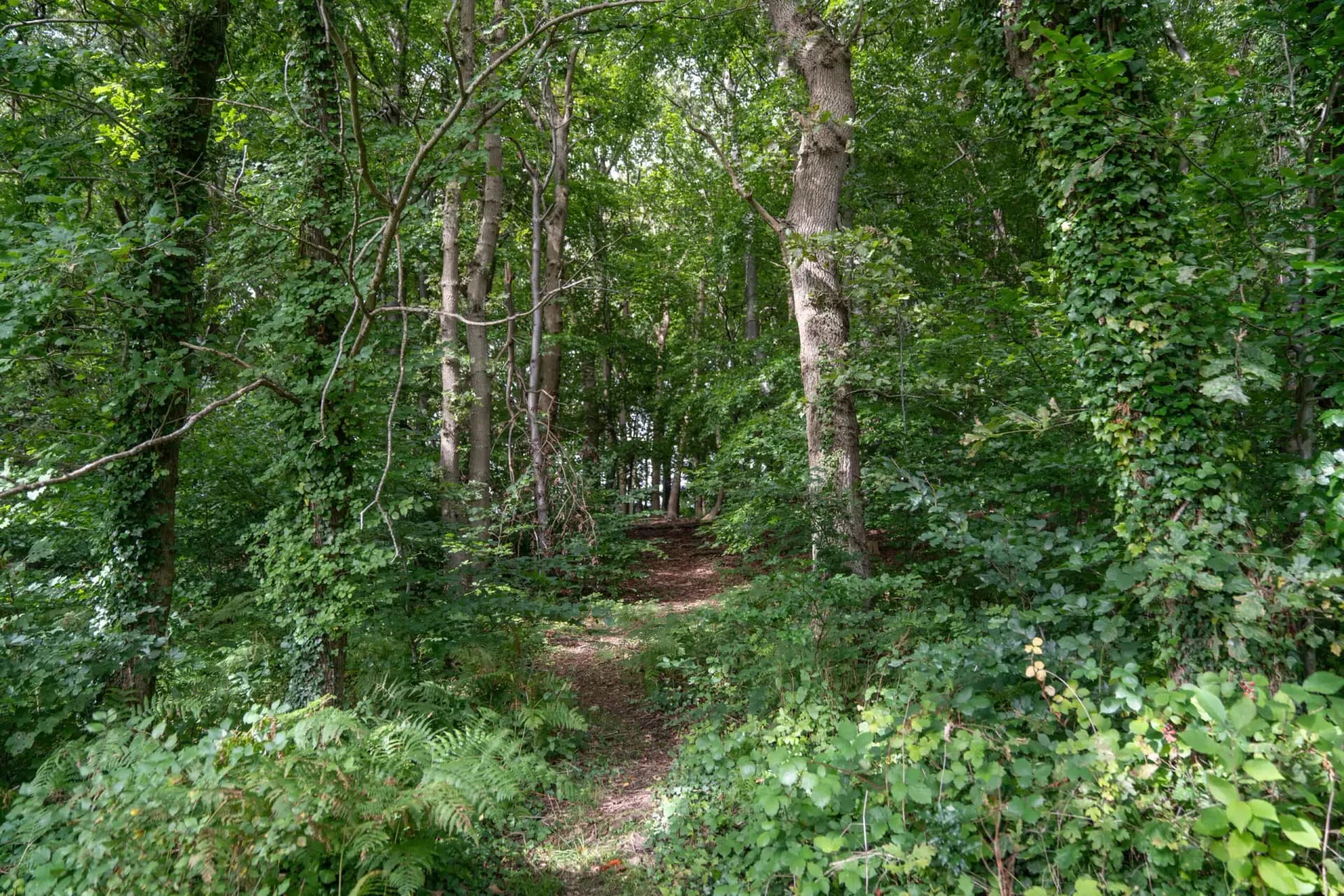 Eco Hameau des Coqslitscaux 7