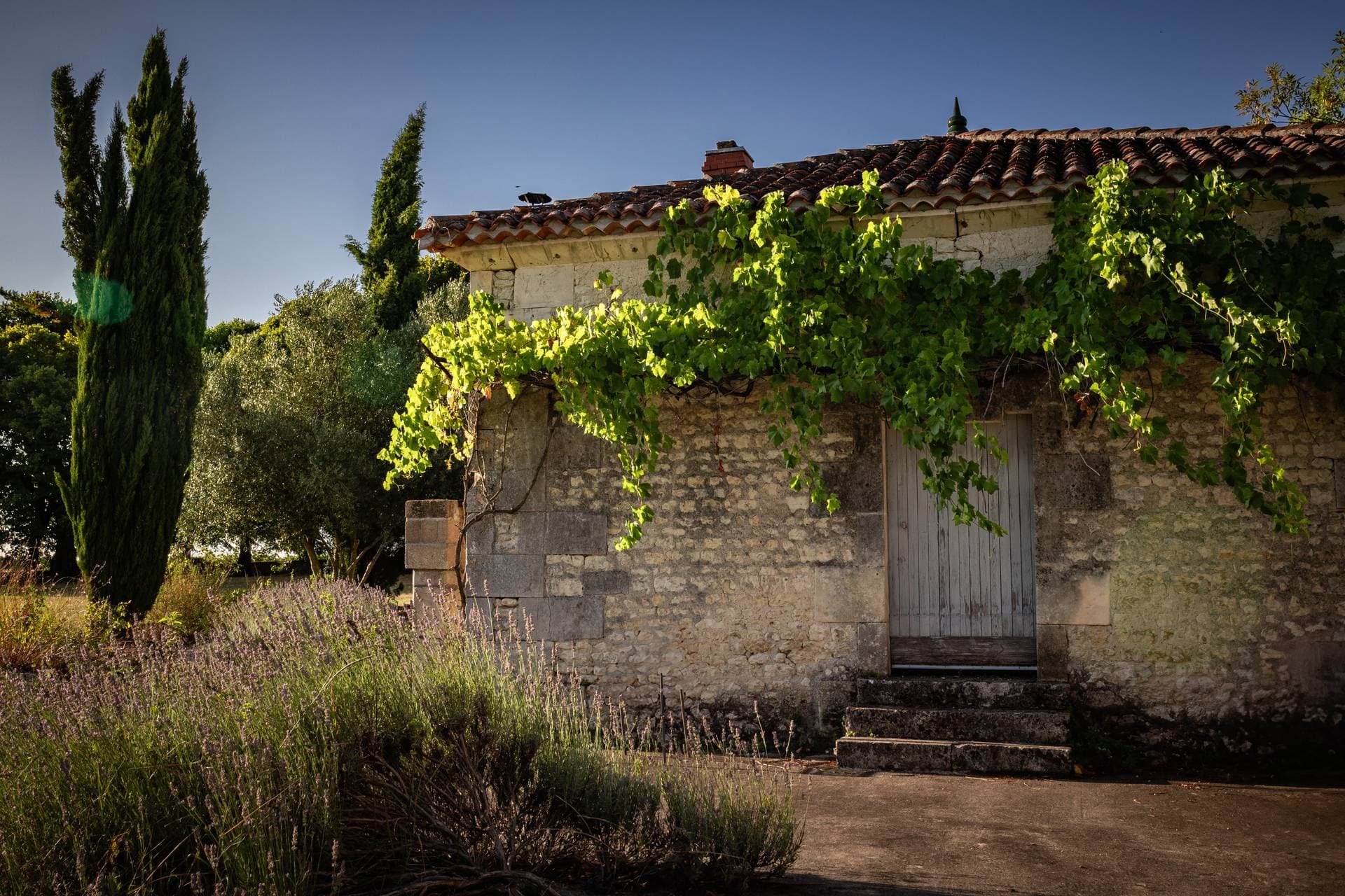 Logis du Paradis 64