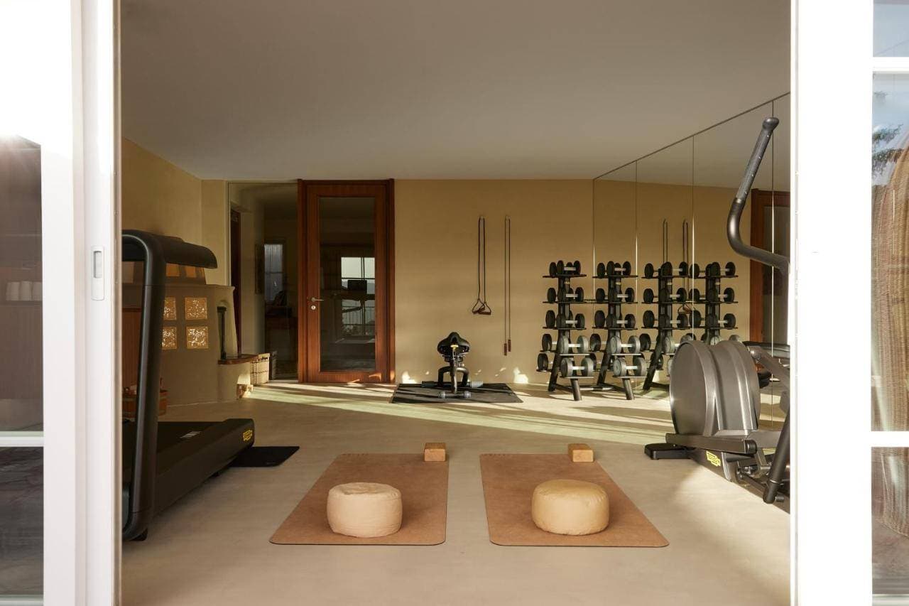 Saltus 7