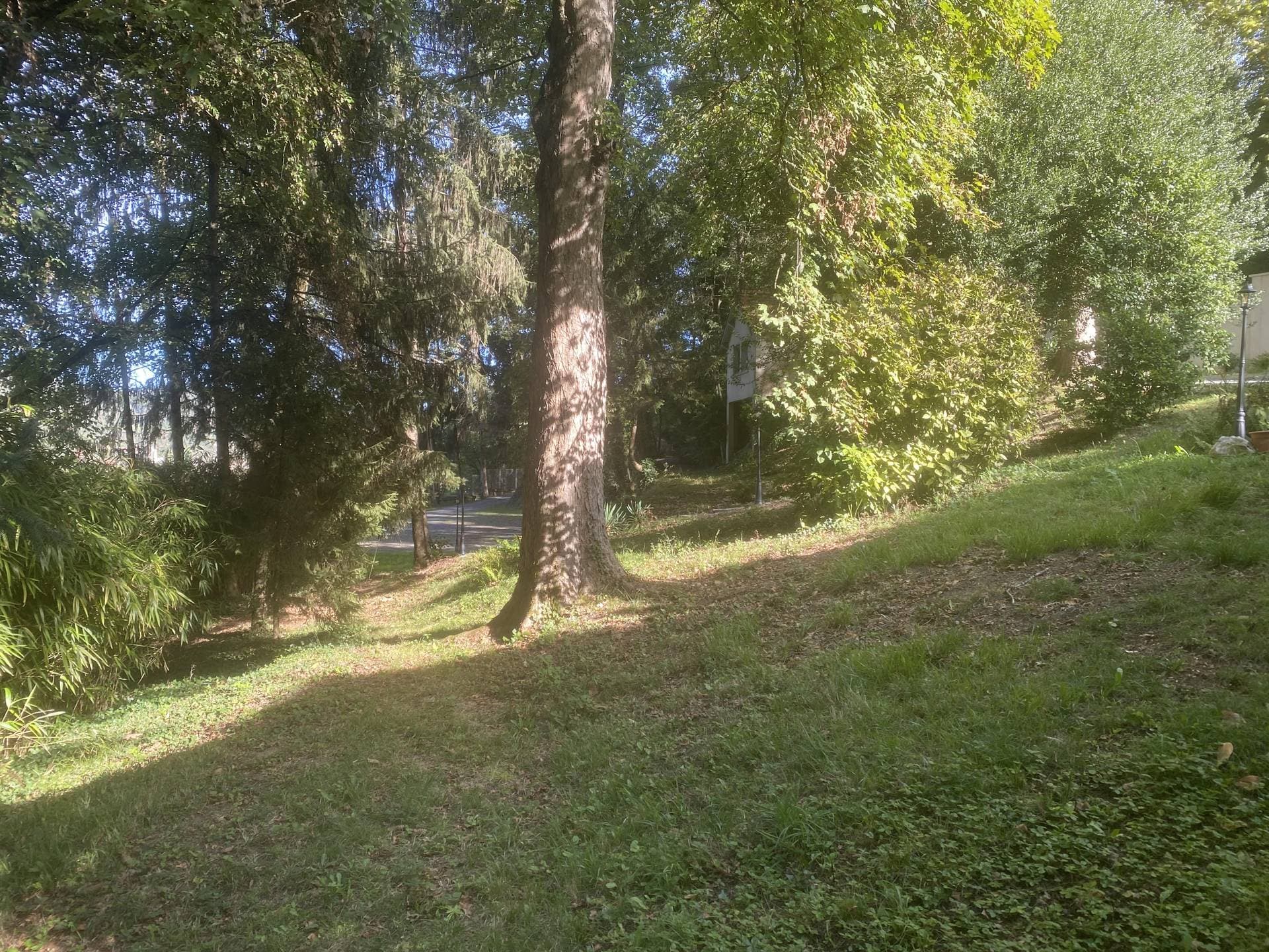 Le Logis Vélès 20