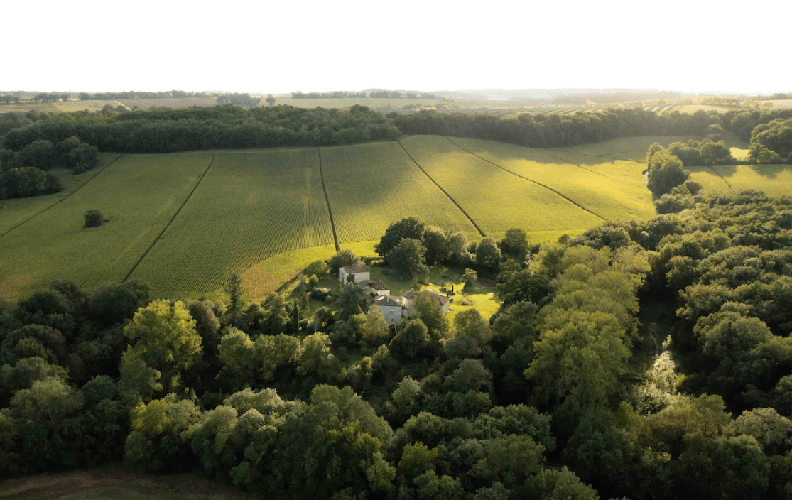 Le domaine de la Palombière 4