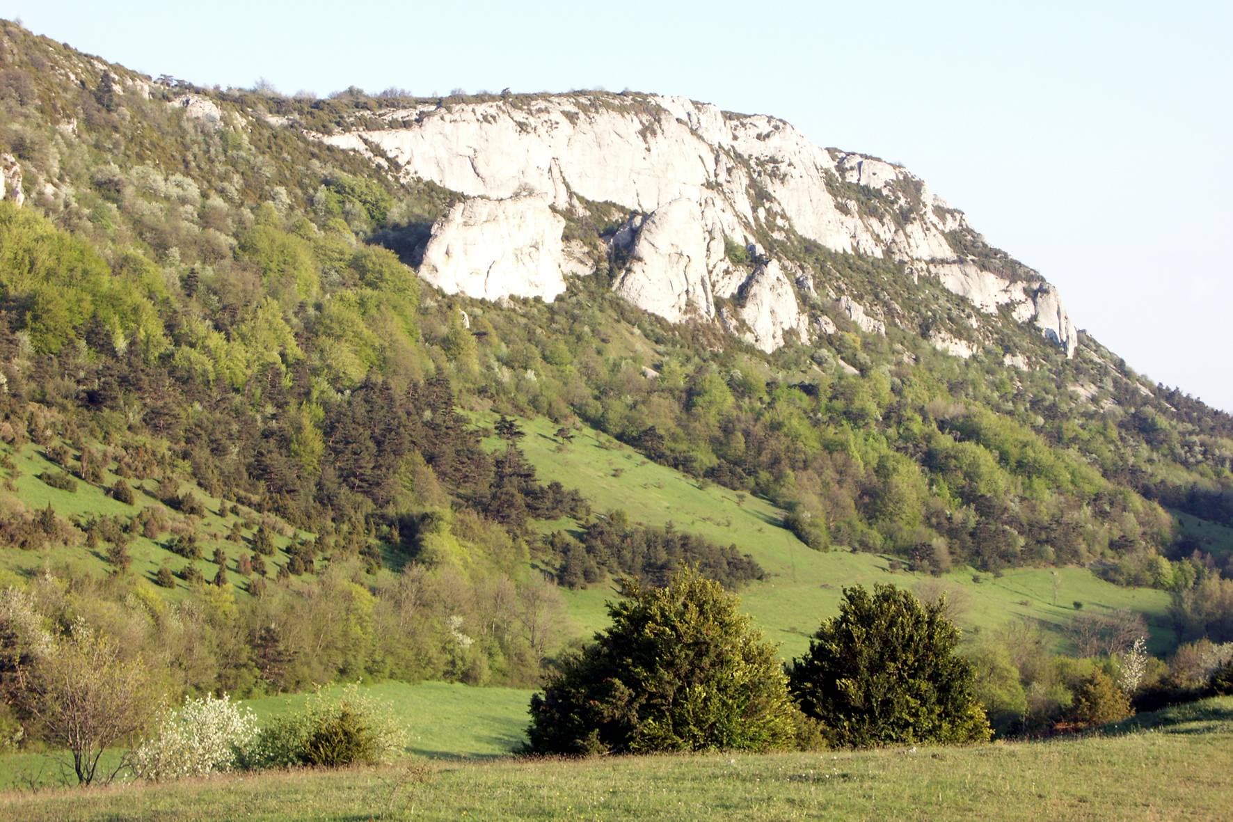 Réserve Naturelle de Boussière 3