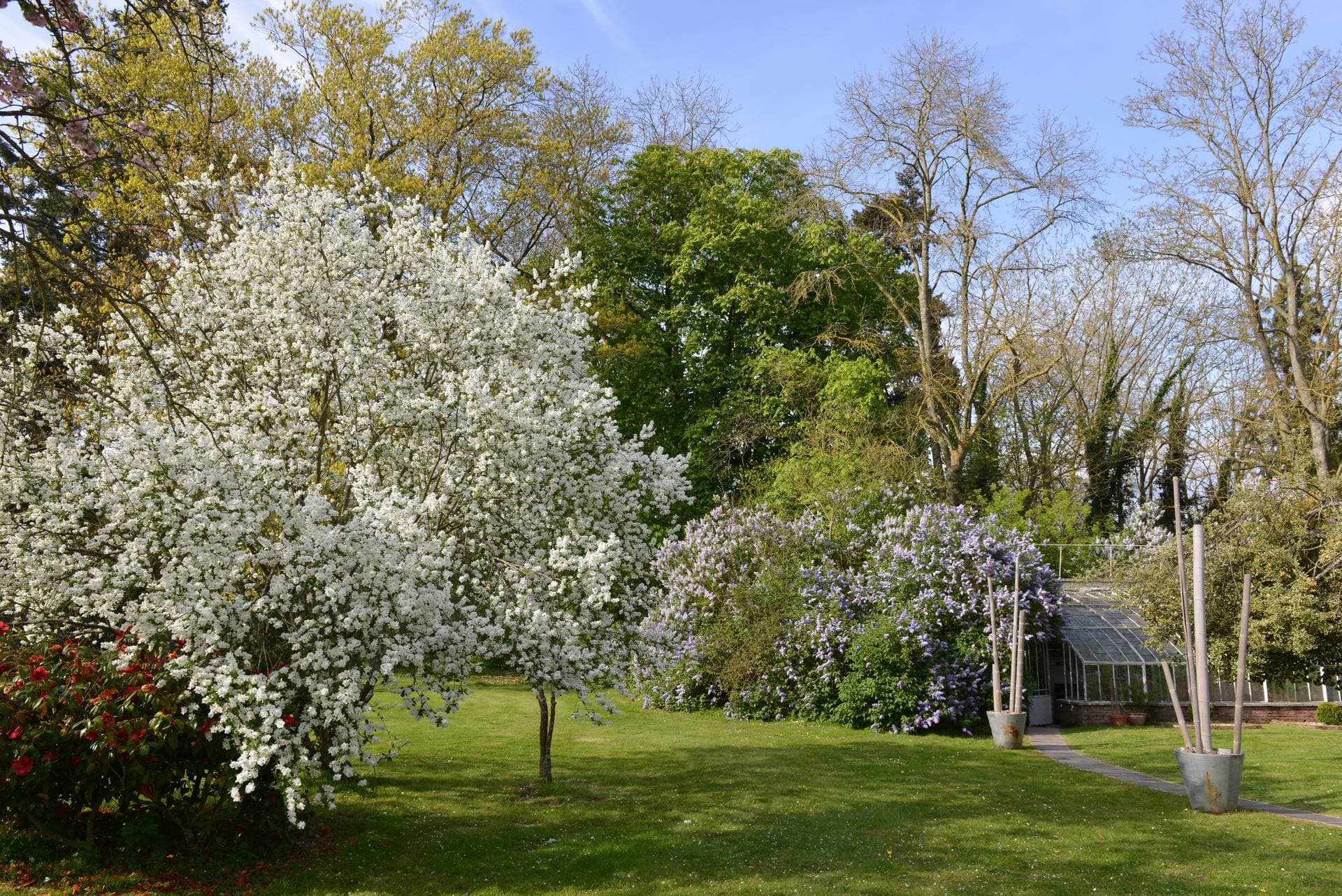 Le château du Bois de la Lune 26