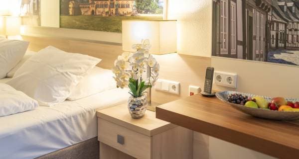 PLAZA INN Goslar 10