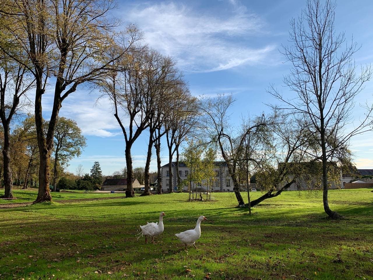 Le Domaine d'Orgemont 22