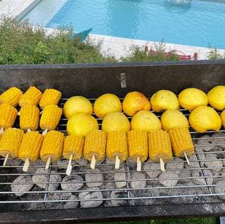 Maître grilleur 9