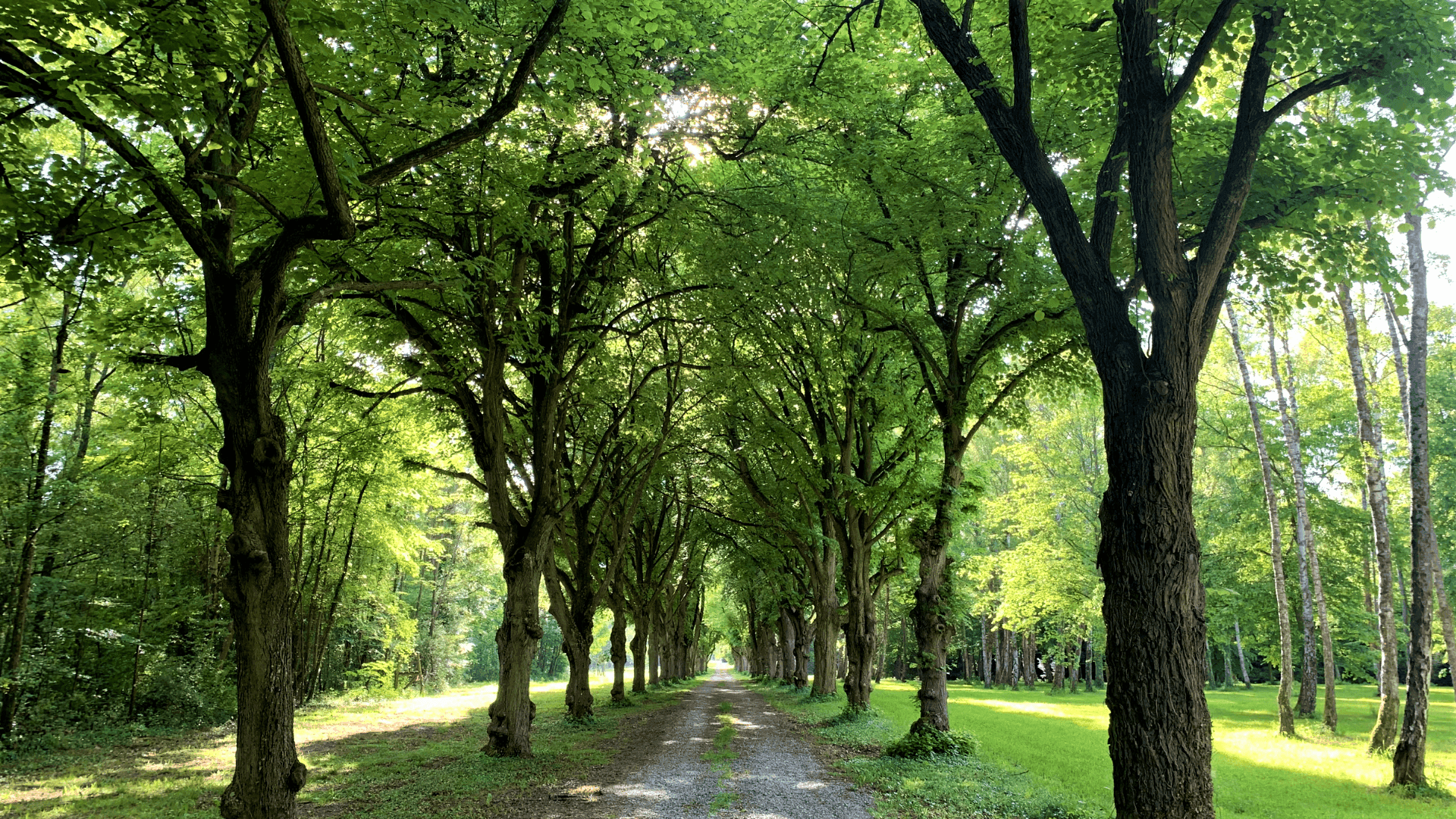 Le Domaine de Montigny 39