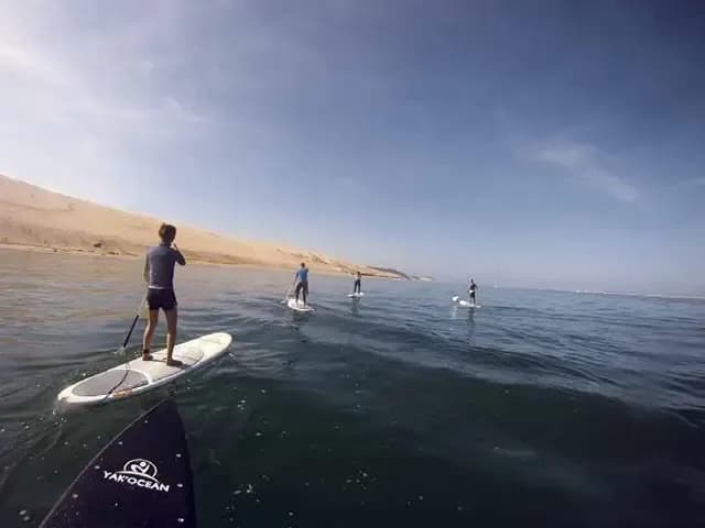 Paddle polo
