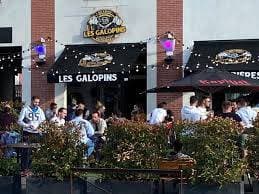 LES GALOPINS 1