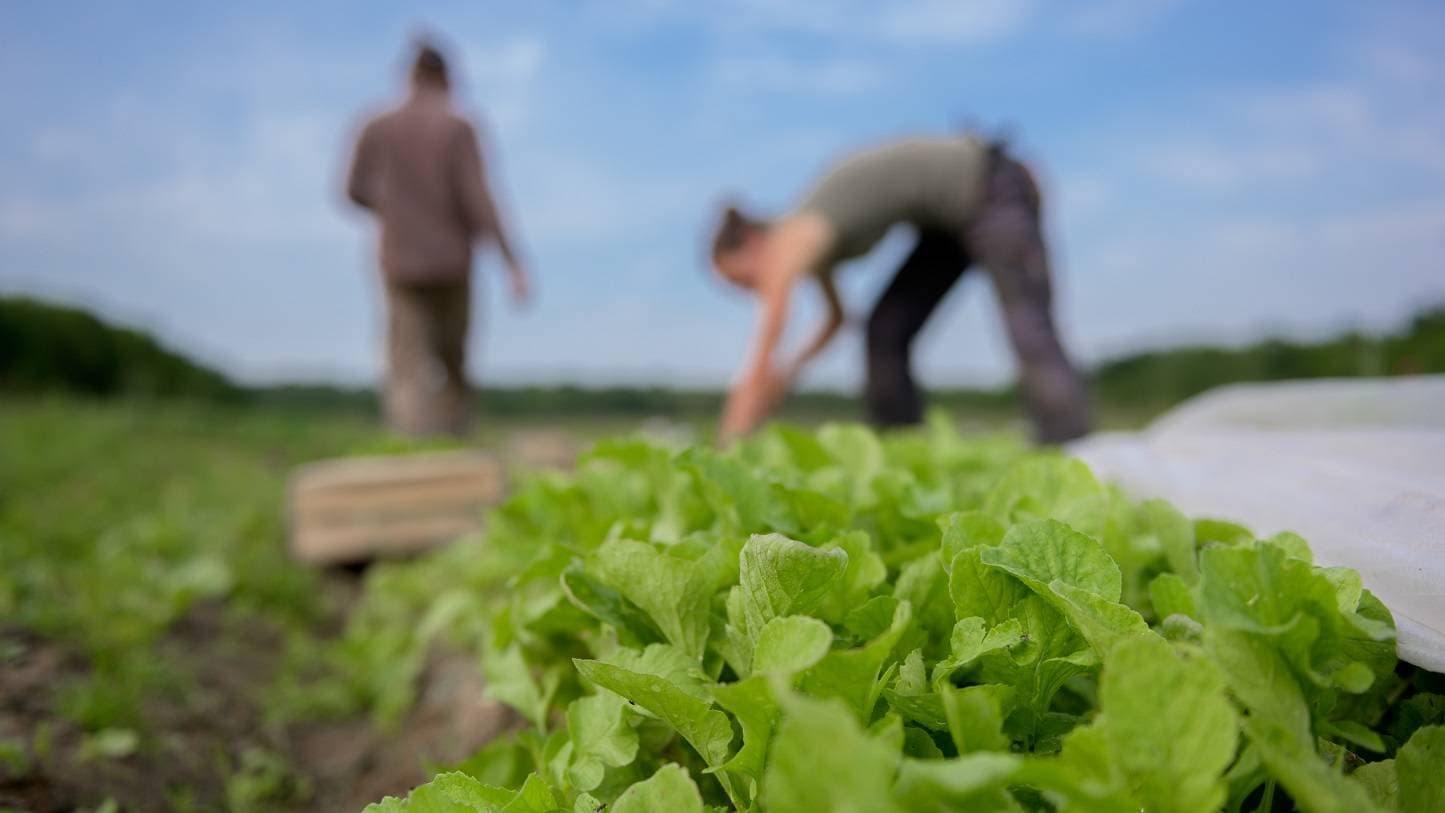Le Village Potager 25