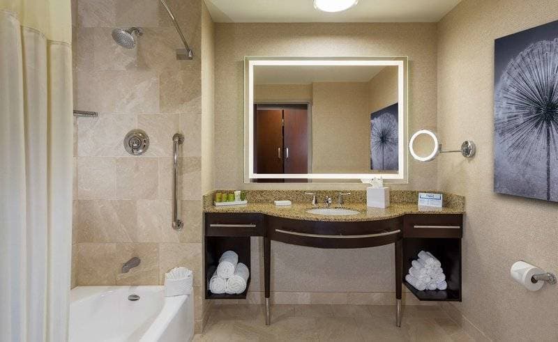 Hilton Americas Houston 20