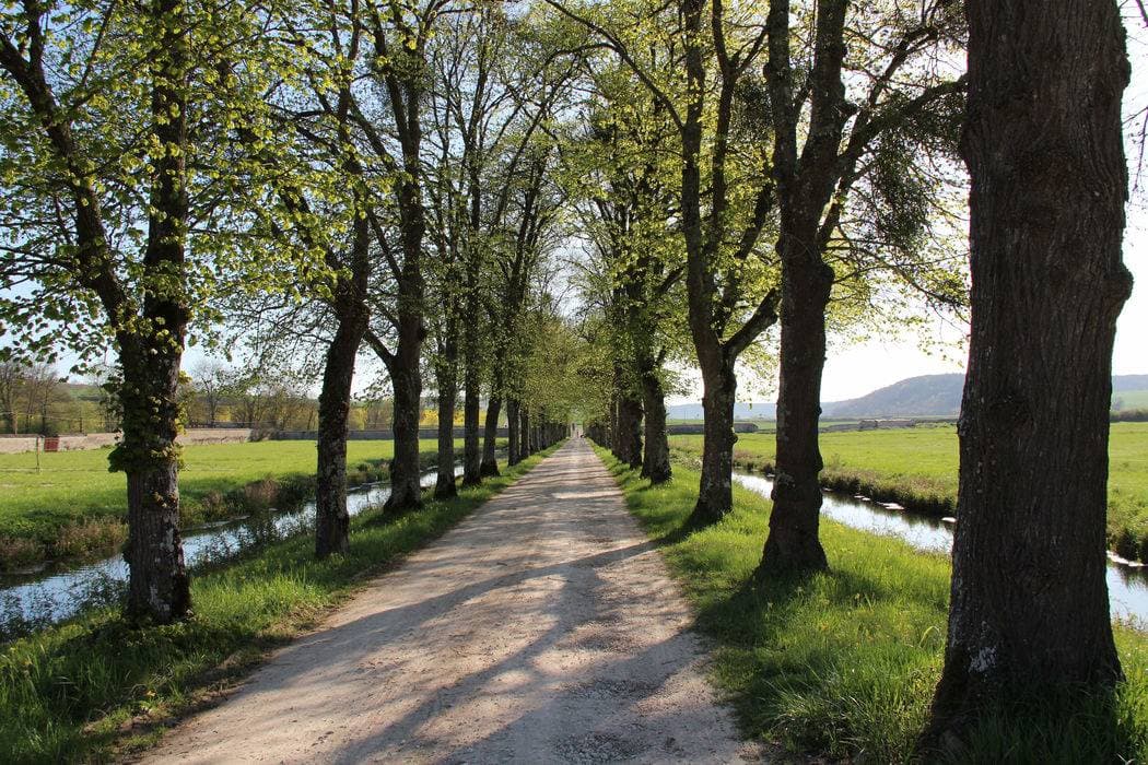 L'Abbaye de Reigny et le logis Saint-François 14