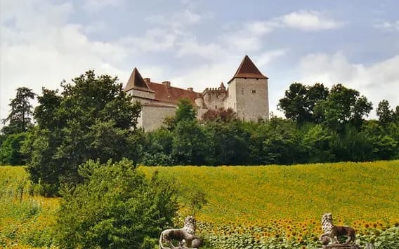 Château de Goudourville  5